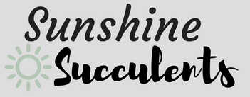 logo for Sunshine Succulents